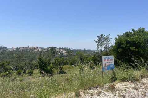 Tomt i Pombal, Leiria, Pombal - € 70 000 | Ref: 945957 - foto 6