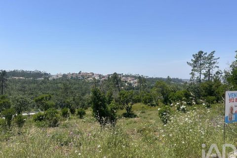 Tomt i Pombal, Leiria, Pombal - € 70 000 | Ref: 945957 - foto 7