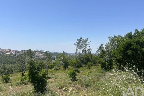 Tomt i Pombal, Leiria, Pombal - € 70 000 | Ref: 945957 - foto 8