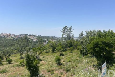 Tomt i Pombal, Leiria, Pombal - € 70 000 | Ref: 945957 - foto 9