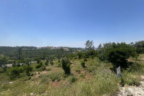 Tomt i Pombal, Leiria, Pombal - € 70 000 | Ref: 945957 - foto 10