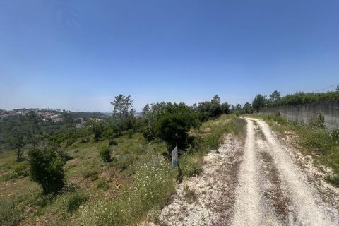Tomt i Pombal, Leiria, Pombal - € 70 000 | Ref: 945957 - foto 11