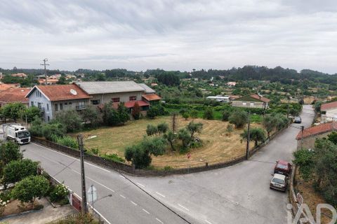 Terra a Carregal do Sal, Viseu, Carregal do Sal - € 140.000 | Ref: 943713 - foto 2