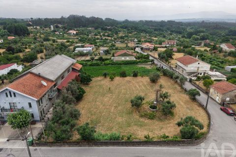 Terra a Carregal do Sal, Viseu, Carregal do Sal - € 140.000 | Ref: 943713 - foto 3