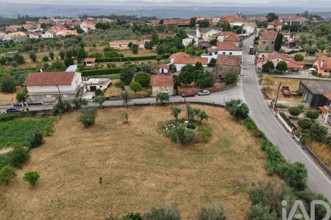 Terra a Carregal do Sal, Viseu, Carregal do Sal - € 140.000 | Ref: 943713 - foto 4