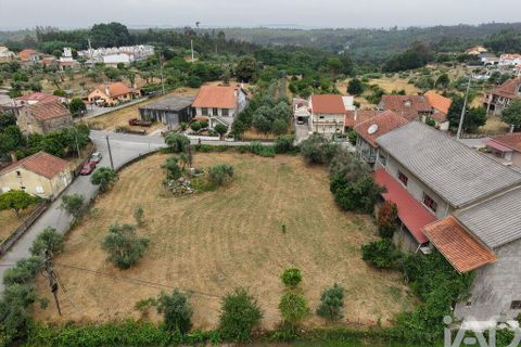 Terra a Carregal do Sal, Viseu, Carregal do Sal - € 140.000 | Ref: 943713 - foto 5