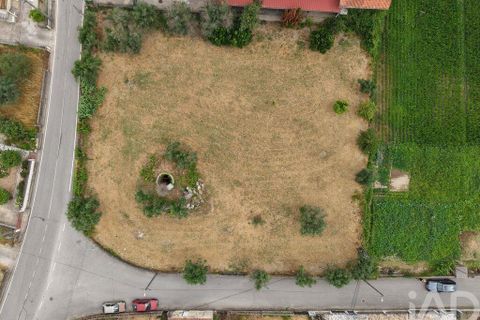 Terra a Carregal do Sal, Viseu, Carregal do Sal - € 140.000 | Ref: 943713 - foto 6