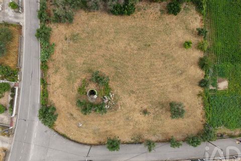 Terra a Carregal do Sal, Viseu, Carregal do Sal - € 140.000 | Ref: 943713 - foto 7