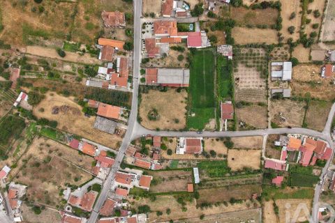 Terra a Carregal do Sal, Viseu, Carregal do Sal - € 140.000 | Ref: 943713 - foto 8