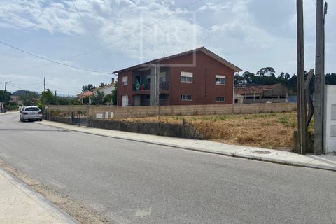Grond in Anadia, Aveiro, Anadia - € 42.000 | Ref: 86/2026 ES - foto 2