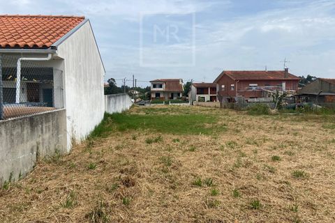 Grond in Anadia, Aveiro, Anadia - € 42.000 | Ref: 86/2026 ES - foto 5