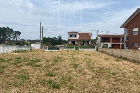 Grond in Anadia, Aveiro, Anadia - € 42.000 | Ref: 86/2026 ES - foto 7