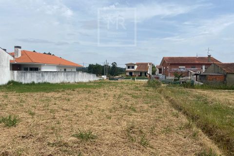 Grond in Anadia, Aveiro, Anadia - € 42.000 | Ref: 86/2026 ES - foto 8