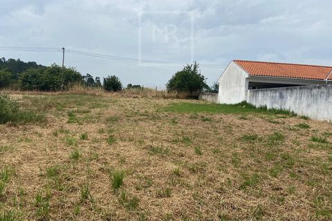 Grond in Anadia, Aveiro, Anadia - € 42.000 | Ref: 86/2026 ES - foto 9