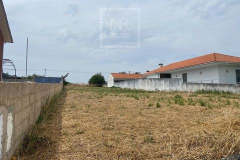 Grond in Anadia, Aveiro, Anadia - € 42.000 | Ref: 86/2026 ES - foto 10