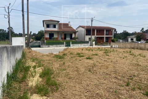 Grond in Anadia, Aveiro, Anadia - € 42.000 | Ref: 86/2026 ES - foto 11