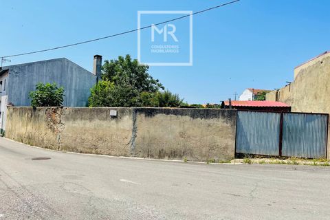 Grond in Anadia, Aveiro, Anadia - € 29.500 | Ref: 94/2026 - foto 1