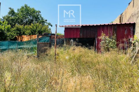 Grond in Anadia, Aveiro, Anadia - € 29.500 | Ref: 94/2026 - foto 2