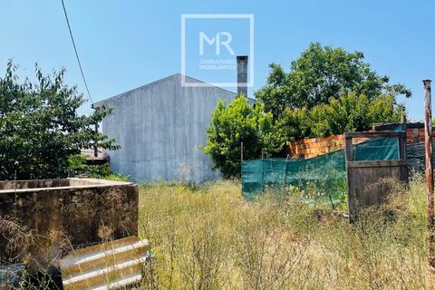 Grond in Anadia, Aveiro, Anadia - € 29.500 | Ref: 94/2026 - foto 3