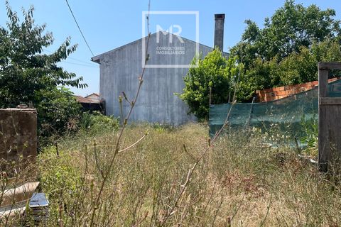 Grond in Anadia, Aveiro, Anadia - € 29.500 | Ref: 94/2026 - foto 4