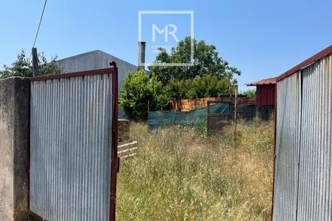 Grond in Anadia, Aveiro, Anadia - € 29.500 | Ref: 94/2026 - foto 5
