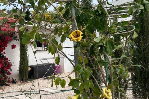 Villa i Polop, Alicante, Polop - € 350.000 | Ref: 4485 - foto 37