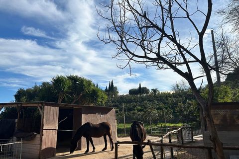 Villa i Polop, Alicante, Polop - € 350.000 | Ref: 4485 - foto 41