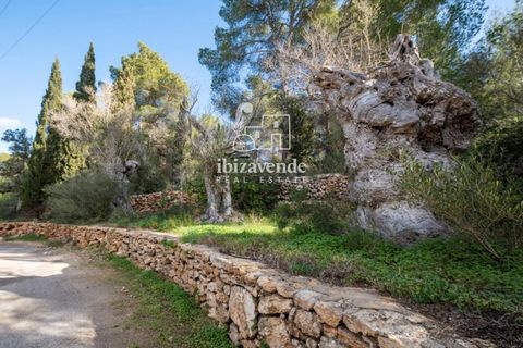 Villa i Roca Llisa, Ibiza, Roca Llisa - € 3.200.000 | Ref: 4813 - foto 29