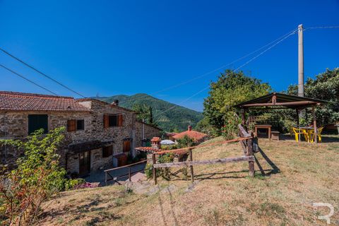 Landejendom i Dicomano, Florence, Dicomano - € 540.000 | Ref: R054759DIRU - foto 20