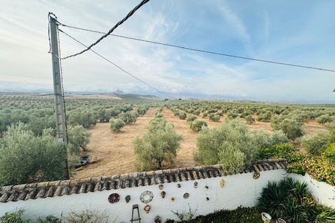 Landejendom i Antequera, Malaga, Antequera - € 155.000 | Ref: ID4389 - foto 20