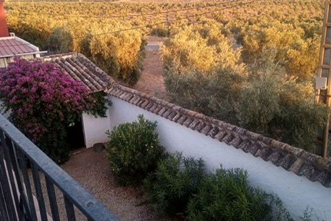 Landejendom i Antequera, Malaga, Antequera - € 155.000 | Ref: ID4389 - foto 44