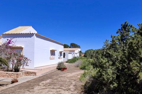 Villa a Es Pujols, Formentera, Es Pujols - € 2.800.000 | Ref: CW-D-IV-28 - foto 9