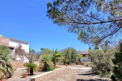 Villa a Es Pujols, Formentera, Es Pujols - € 2.800.000 | Ref: CW-D-IV-28 - foto 4