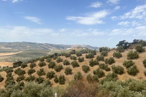 Landejendom i Iznajar, Cordoba, Iznajar - € 385.000 | Ref: ID4040 - foto 26