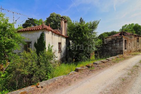 Villa en Mangualde, Viseu, Mangualde - € 132.500 | Ref: 389260069 - photo 3