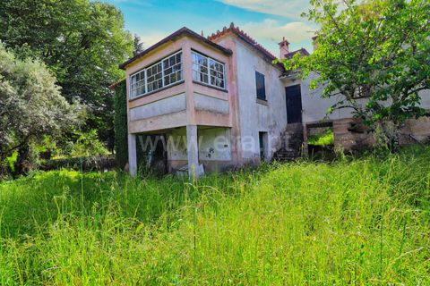 Villa en Mangualde, Viseu, Mangualde - € 132.500 | Ref: 389260069 - photo 4