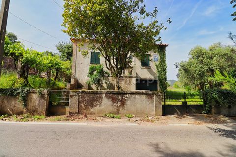 Villa en Mangualde, Viseu, Mangualde - € 132.500 | Ref: 389260069 - photo 7