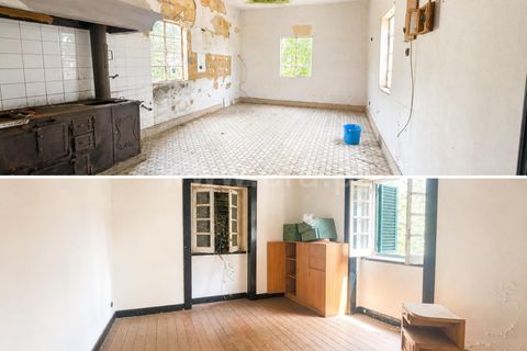 Villa en Mangualde, Viseu, Mangualde - € 132.500 | Ref: 389260069 - photo 8