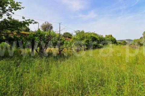 Villa en Mangualde, Viseu, Mangualde - € 132.500 | Ref: 389260069 - photo 15