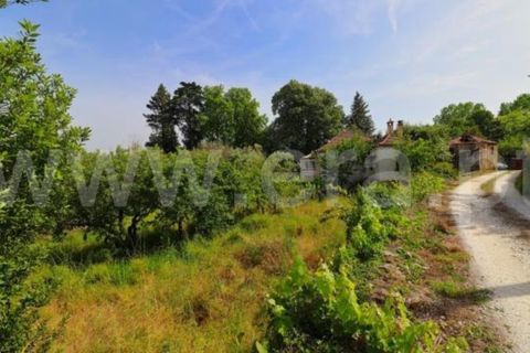 Villa en Mangualde, Viseu, Mangualde - € 132.500 | Ref: 389260069 - photo 16