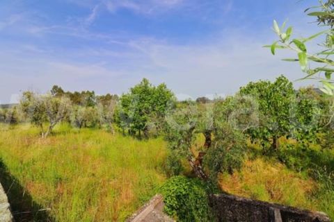 Villa en Mangualde, Viseu, Mangualde - € 132.500 | Ref: 389260069 - photo 17
