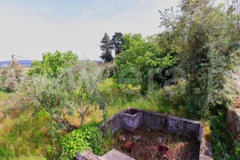 Villa en Mangualde, Viseu, Mangualde - € 132.500 | Ref: 389260069 - photo 18