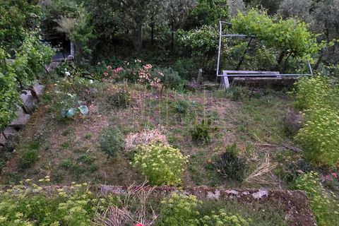 Byhus i Seia, Guarda, Seia - € 50.000 | Ref: RS-MOR-00008 - foto 29