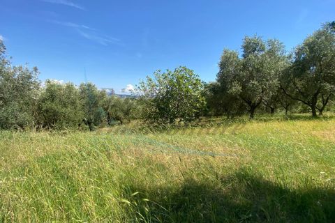 Villa i Rosignano Marittimo, Livorno, Rosignano Marittimo - € 580.000 | Ref: C1078 - foto 49