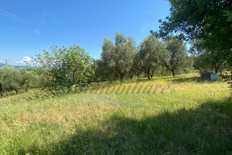 Villa i Rosignano Marittimo, Livorno, Rosignano Marittimo - € 580.000 | Ref: C1078 - foto 50