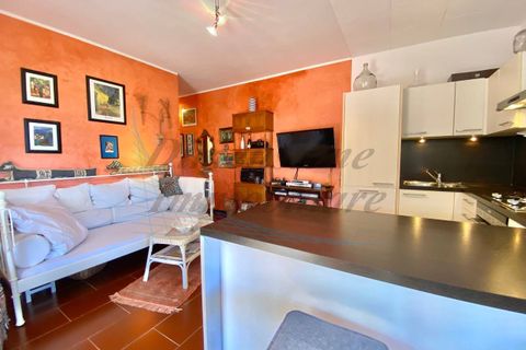 Lejlighed i Montescudaio, Pisa, Montescudaio - € 195.000 | Ref: C1079 - foto 20