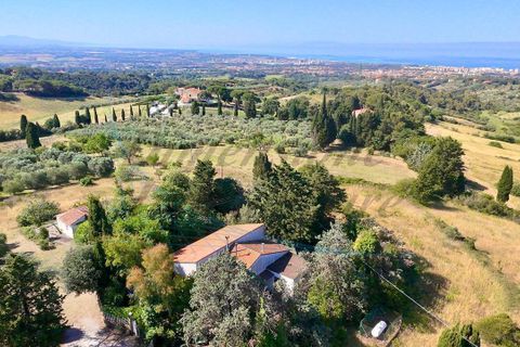 Villa i Rosignano Marittimo, Livorno, Rosignano Marittimo - € 385.000 | Ref: 1872 - foto 2