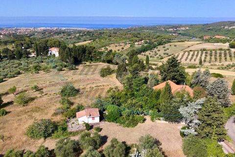 Villa i Rosignano Marittimo, Livorno, Rosignano Marittimo - € 385.000 | Ref: 1872 - foto 3