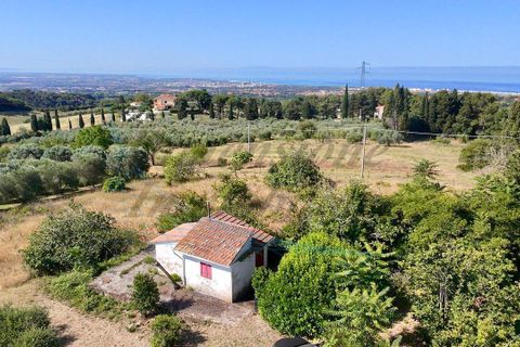 Villa i Rosignano Marittimo, Livorno, Rosignano Marittimo - € 385.000 | Ref: 1872 - foto 6