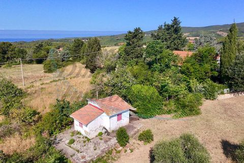 Villa i Rosignano Marittimo, Livorno, Rosignano Marittimo - € 385.000 | Ref: 1872 - foto 7